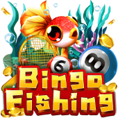 Câu Cá Bingo Windd CC