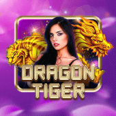 Rồng Hổ Windd CC